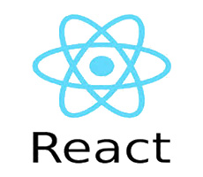 ReactJS Development